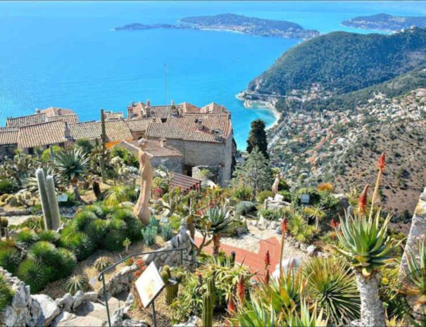 Découvrez le Jardin Exotique d'Èze, perché à 429 mètres d'altitude, offrant une vue panoramique exceptionnelle sur la mer Méditerranée et la Côte d'Azur. Ce jardin botanique, aménagé sur les ruines d'une ancienne forteresse médiévale, abrite une collection impressionnante de plantes succulentes et de cactus, tout en offrant des points de vue spectaculaires sur la Riviera. Une visite incontournable pour les amoureux de la nature et les panoramas époustouflants