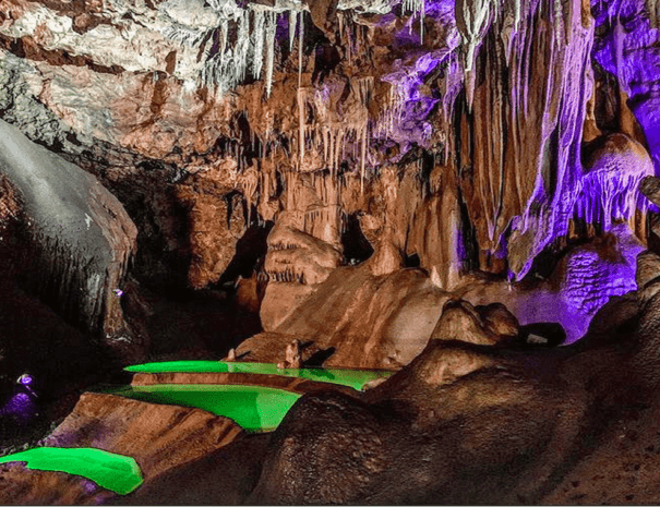 Explorez la Grotte de Baume Obscure, un joyau naturel niché dans les Alpes-Maritimes. Cette cavité spectaculaire, ornée de stalactites et stalagmites, offre une expérience immersive grâce à son parcours souterrain aménagé et ses animations son et lumière. Une aventure incontournable pour les passionnés de spéléologie et les amoureux de la nature.